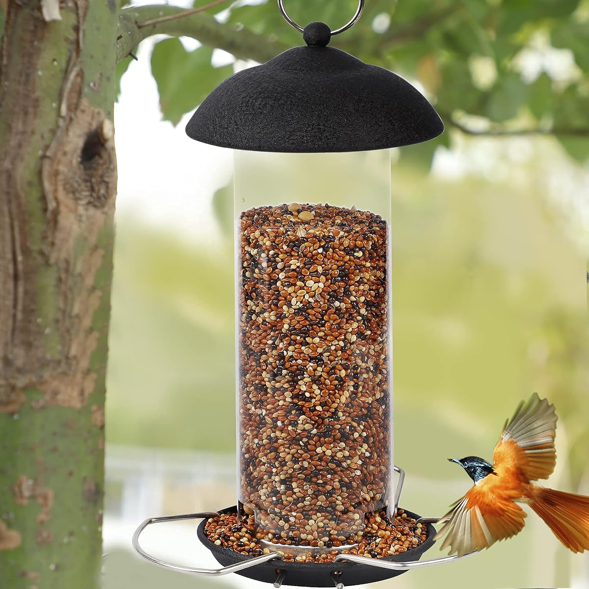 winemana Bird Feeders for Outside Hanging, Bird Seed Feeder for Wild Birds, Squirrel-Proof, Black Bird Feeder for Yard Garden Outdoor - 细节图 6