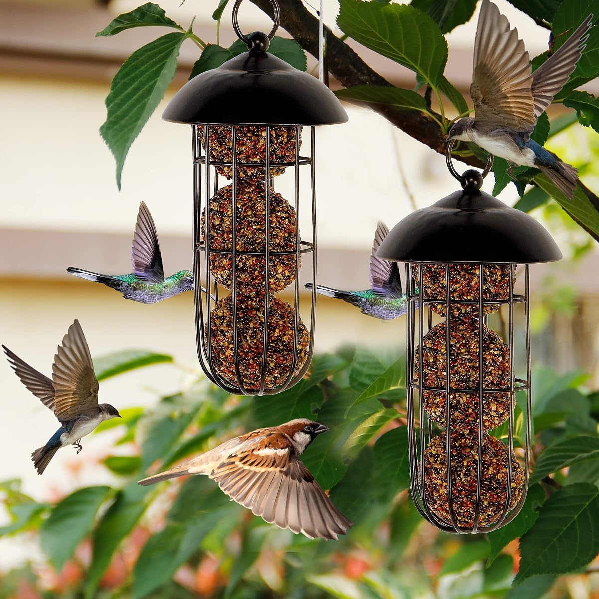 winemana Set of 2 Outdoor Wild Bird Feeder, Squirrel Proof, Hanging Fat Ball Holder Metal Feeding Tool for Birds - imagem de detalhe 4