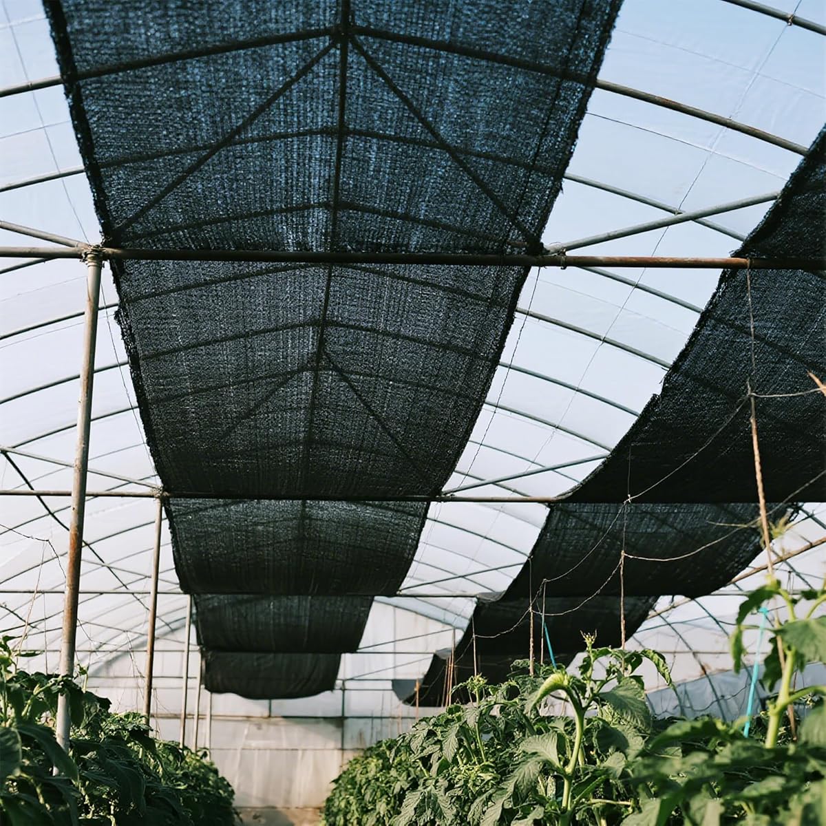 winemana 120x6 FT Outdoor Shade Cloth for Garden & Plants - 90% Large Black Mesh Tarp, UV Resistant Woven Shade Fabric for Greenhouse Farm Row Cover Vegetables Sun Protection Poultry Run - imagen de detalle 4
