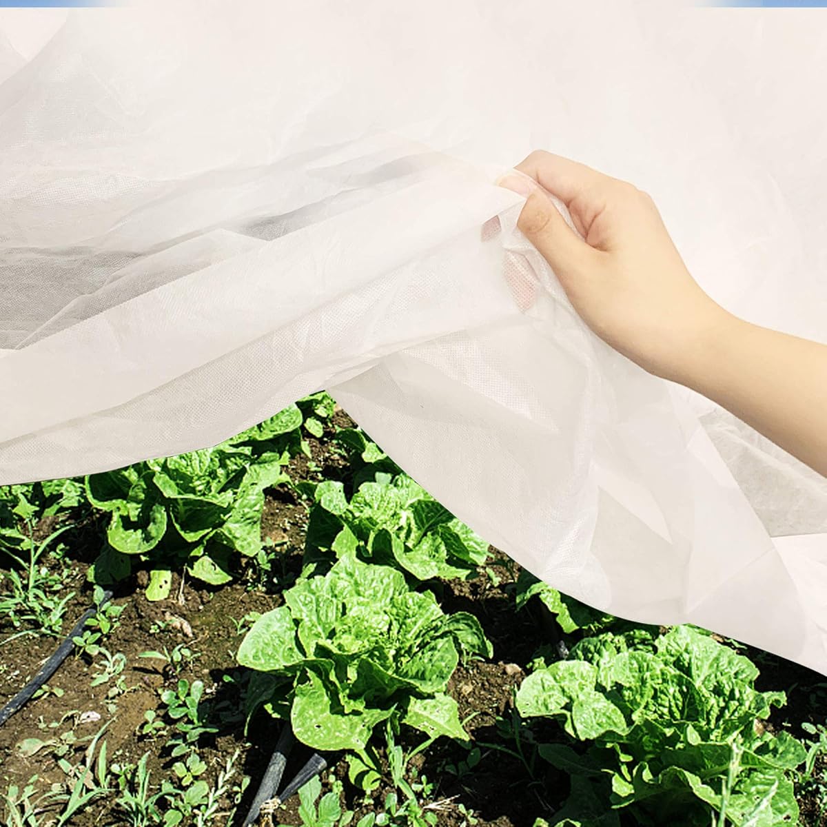 winemana Winter Plant Covers Freeze Protector, 0.9 oz 8 x 30 FT Reusable Frost Blanket Antifreeze Cover Plant Protective Layer for Winter Cold Weather Animals - detail image 3