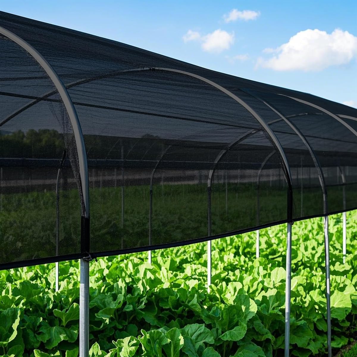 winemana Black Shade Cloth 90%, 5x20 FT Mesh Tarp - Garden Shade for Greenhouse, Patio, Vegetables, Plants Cover and Chicken Coops, Sun Shade Net for Outdoor Protection with Reinforced Grommets - imagem de detalhe 3