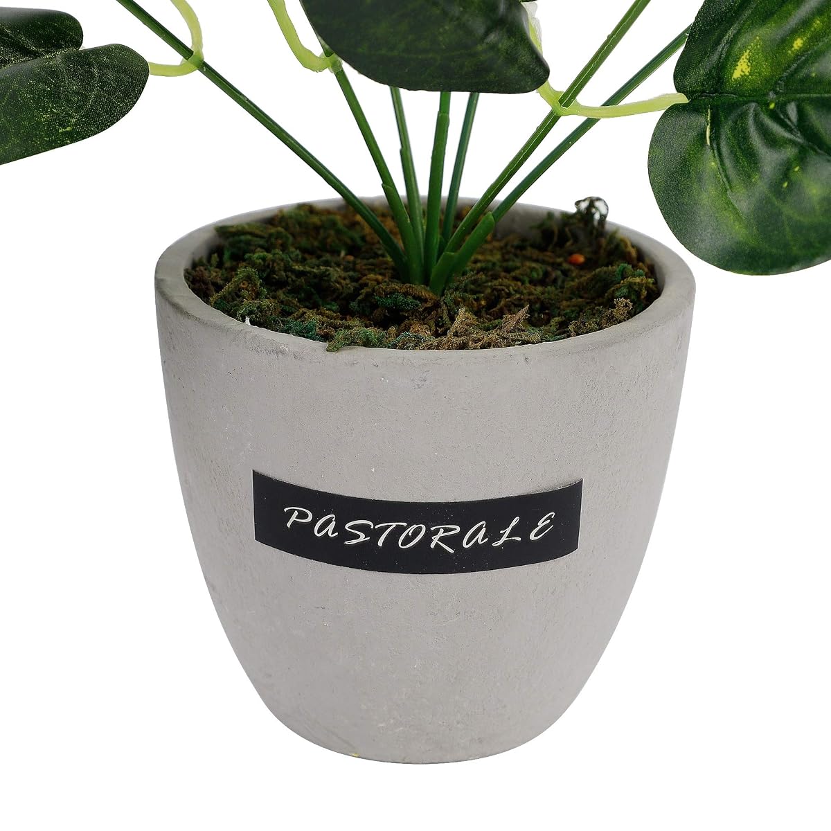 winemana 13.4 inches Artificial Potted Greenery Green Leaf Plants Small Plants for Office Desk Indoor Outdoor Decoration - imagen de detalle 1