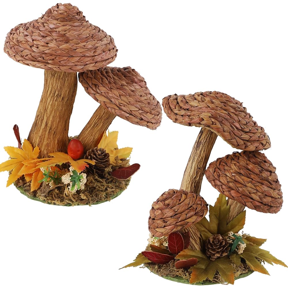 winemana 2 Pack Mushroom Fall Decor - Handmade Woven Mushrooms Figurines, Rustic Farmhouse Table Centerpieces for Thanksgiving, Autumn Home, Shelf & Kitchen Decor