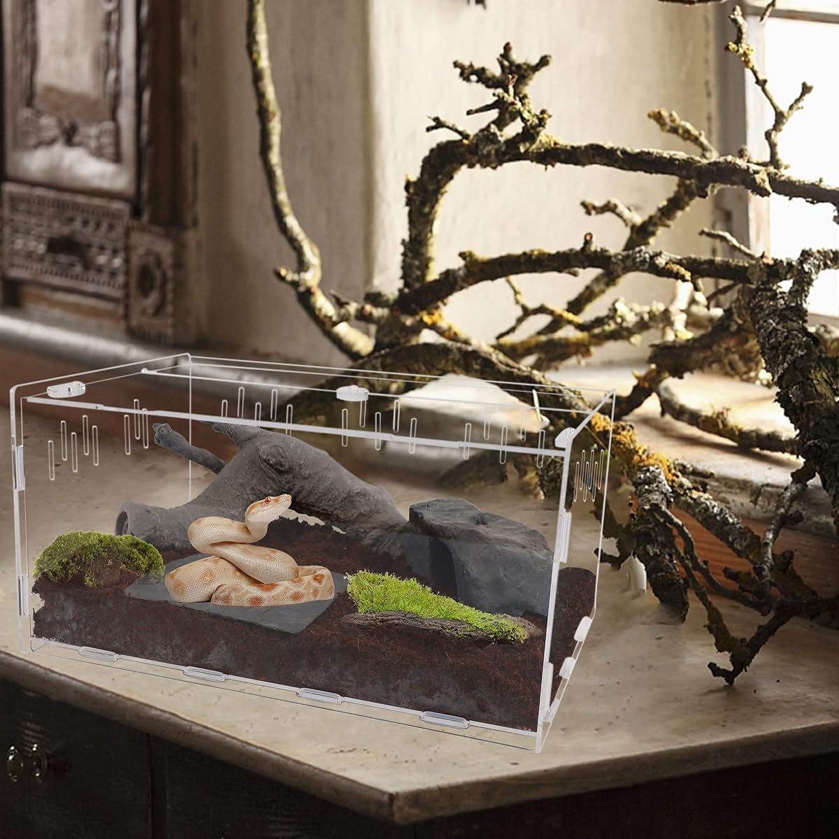 winemana Reptile Terrarium, Tarantula Enclosure, 16" x 11" x 6" Acrylic Large Feeding Tarantula Habitat Box for Small Animals Insect Home Office - imagem de detalhe 5