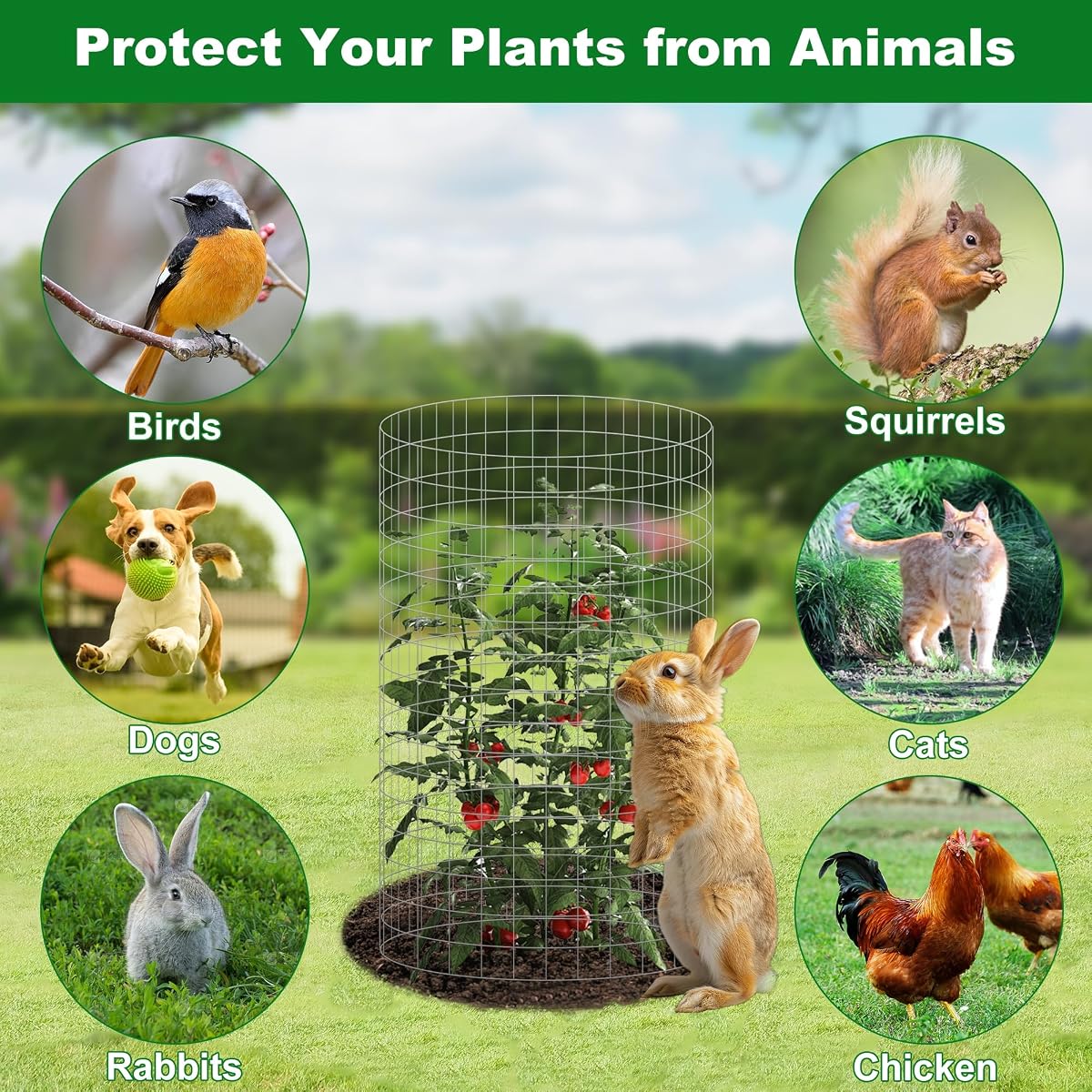 winemana 12 Set Plant Protectors from Animals, Plant Cages for Outdoor - imagem de detalhe 1