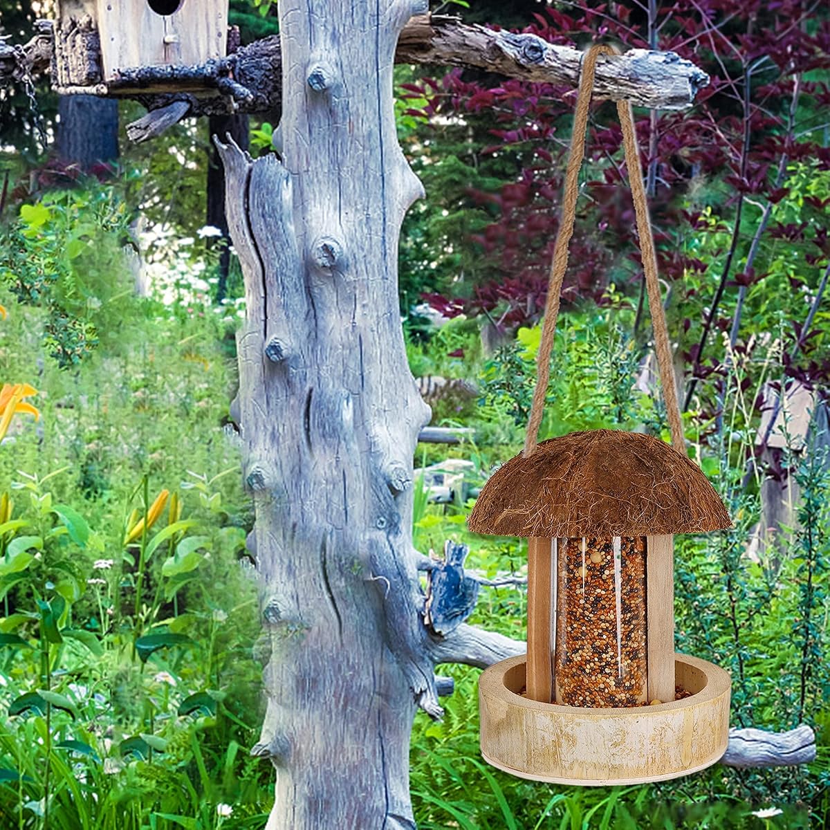 winemana Hanging Bird Feeder, Natural Coconut Bamboo Birdhouse Attract Birds Decorations for Outdoor Garden Yard - imagem de detalhe 6