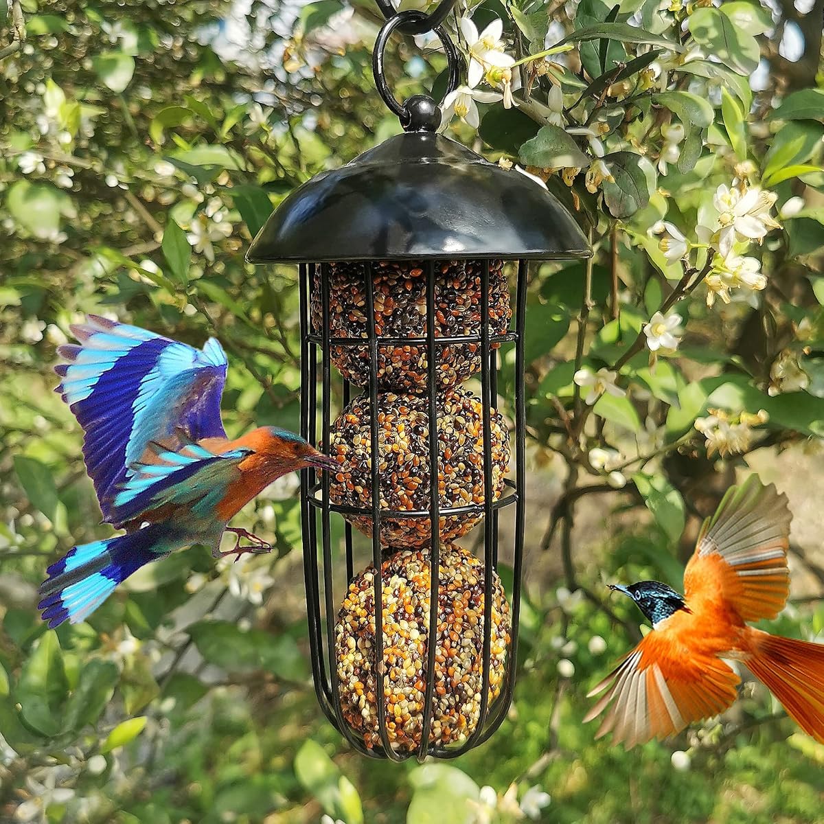 winemana Set of 2 Outdoor Wild Bird Feeder, Squirrel Proof, Hanging Fat Ball Holder Metal Feeding Tool for Birds - imagem de detalhe 6