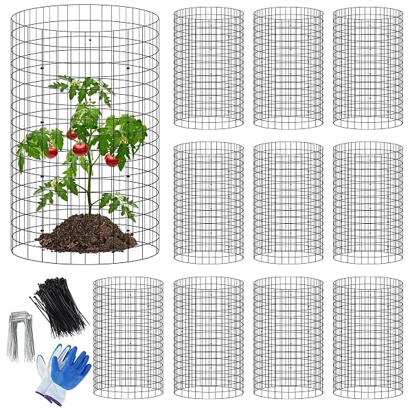 winemana 12 Set Garden Plant Protector Cage,36 Pcs 16x12 in Metal Wire Protectors for Plants Protection Cages with Stakes Ties Animals Barrier to Keep Rabbit Chicken Away from Flower Vegetables(Black)