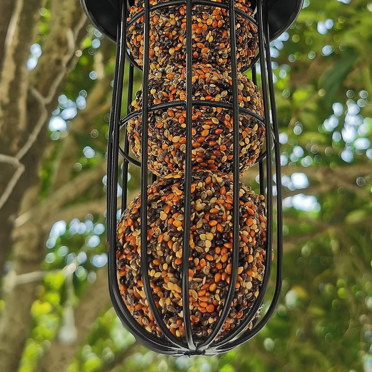 winemana Set of 2 Outdoor Wild Bird Feeder, Squirrel Proof, Hanging Fat Ball Holder Metal Feeding Tool for Birds - imagem de detalhe 3