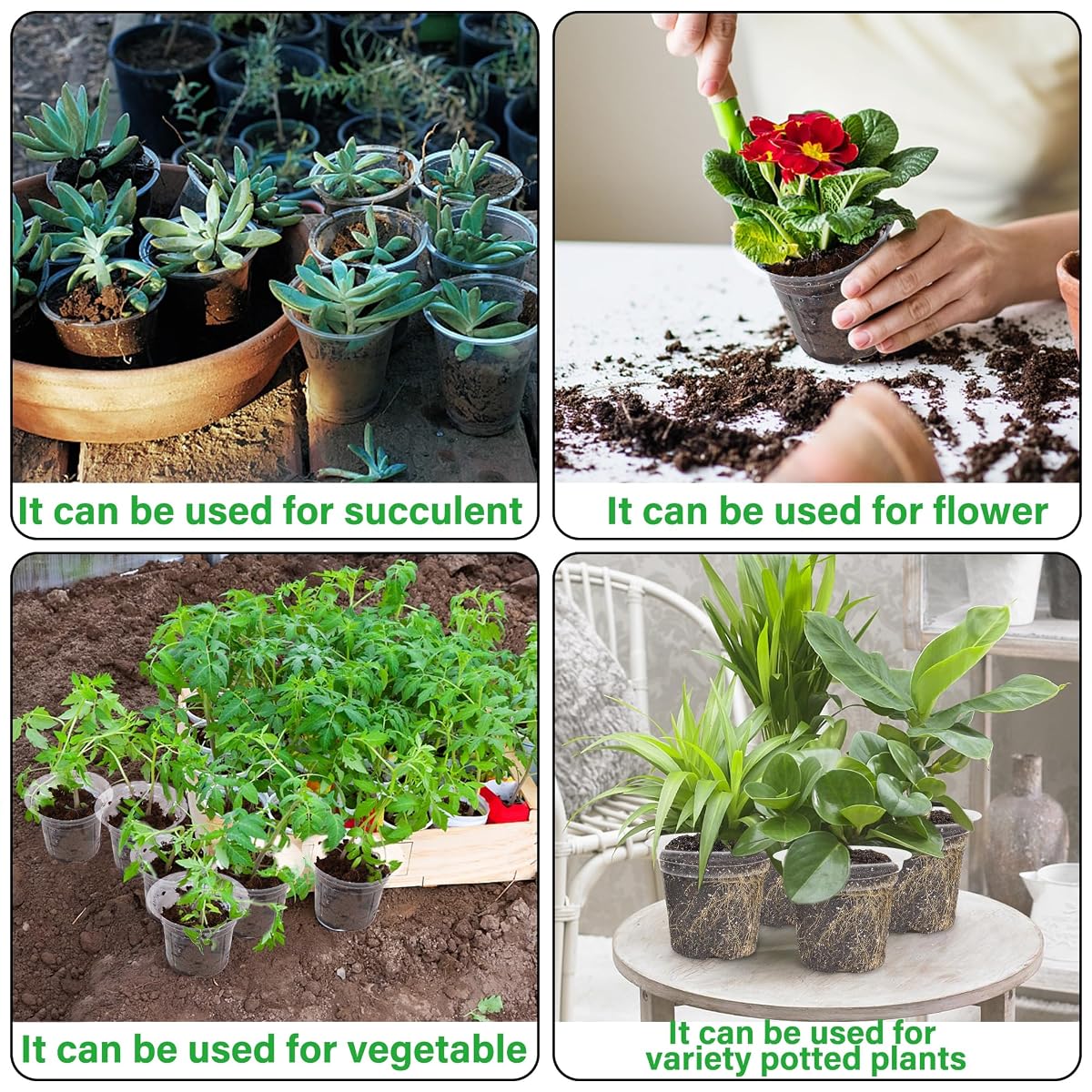 winemana 4 Inch Seed Starter Tray for Vegetable Herb Lettuce Seeds, Plant Pots for Potting Soil Indoor Plants, Clear Nursery Pots Plastic Planting Pots Garden Flower Pots- 60 Packs - detail image 6