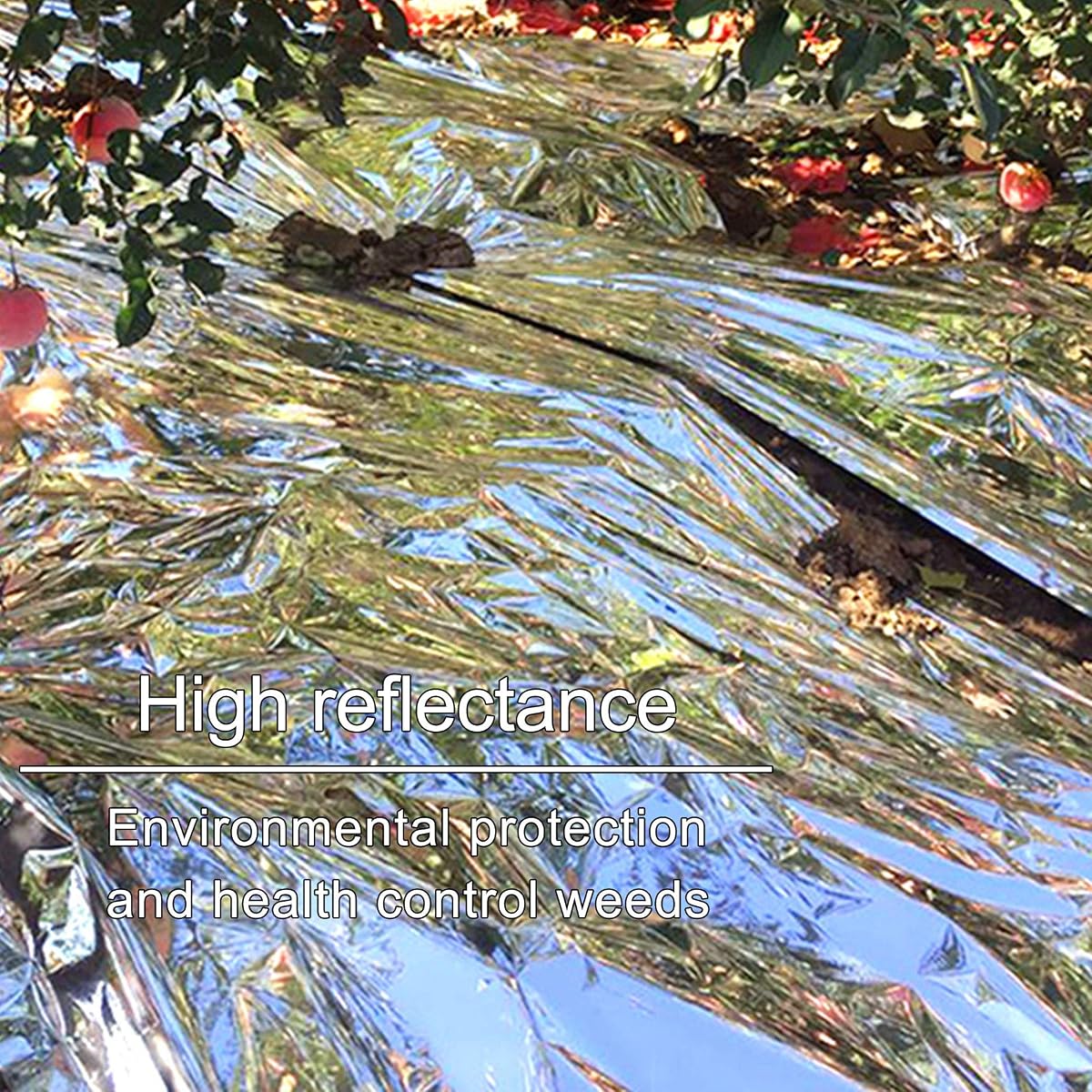 winemana 6 Pack Large High Silver Reflective Mylar Film, 83x 63 in, High Reflectivity, Keep Warm, 100% Environmentally Safe, Perfect for Plant Growth, First Aid, Marathon, Camping, Outdoor Survival - imagen de detalle 4