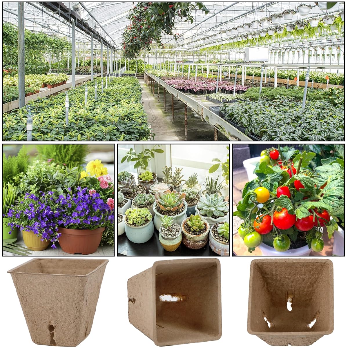 winemana 100 Pack 2.4" Seed Starter Tray Kit, Biodegradable Peat Pots for Seedling with 100 Plant Labels, Plant Garden Germination Tray for Flower Vegetables Succulents - detail image 5