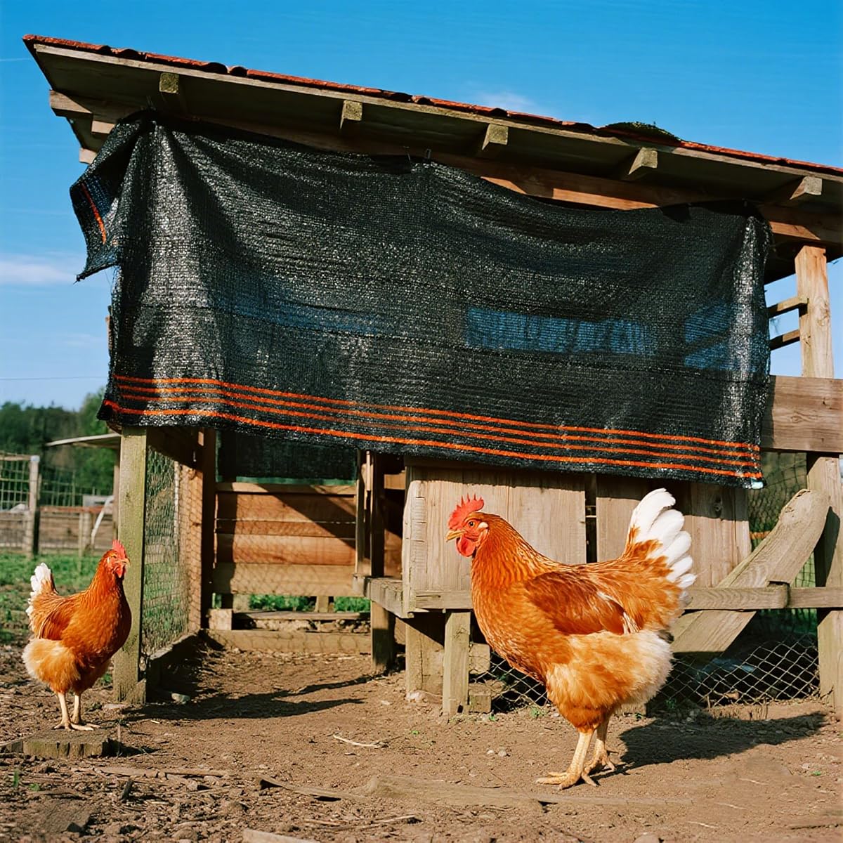 winemana 90% Shade Cloth for Garden- 4x10 FT Breathable Mesh Tarp for Vegetables & Plants, Outdoor Patio Sun Shade with Grommets - Chicken Coop, Dog Kennel Cover - imagem de detalhe 6