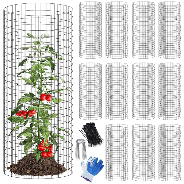winemana 12 Set Plant Protectors Covers from Animals, 36 Pcs 24x12 Inch Metal Wire Garden Cages with Stakes & Ties, Outdoor Protection to Keep Rabbits Chickens Out for Flowers Vegetables (Black)